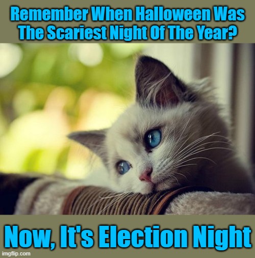 Election Night Jitters! v(*.*)^ | Remember When Halloween Was The Scariest Night Of The Year? Now, It's Election Night | image tagged in memes,first world problems cat | made w/ Imgflip meme maker