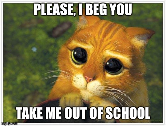 Shrek Cat Meme | PLEASE, I BEG YOU; TAKE ME OUT OF SCHOOL | image tagged in memes,shrek cat | made w/ Imgflip meme maker