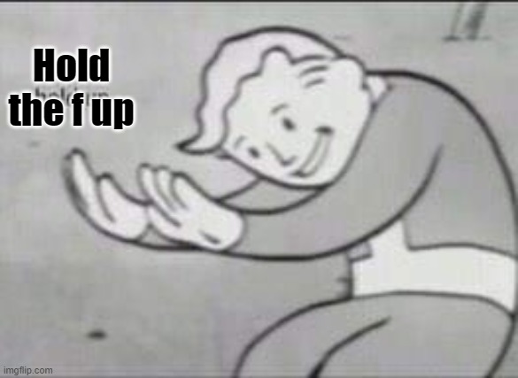Fallout Hold Up | Hold the f up | image tagged in fallout hold up | made w/ Imgflip meme maker
