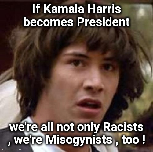 The plot sickens | If Kamala Harris becomes President; we're all not only Racists , we're Misogynists , too ! | image tagged in memes,conspiracy keanu,evil overlord rules,politicians suck | made w/ Imgflip meme maker