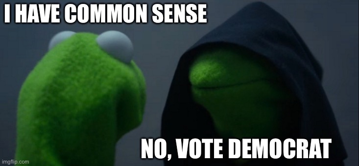 Evil Kermit Meme | I HAVE COMMON SENSE NO, VOTE DEMOCRAT | image tagged in memes,evil kermit | made w/ Imgflip meme maker