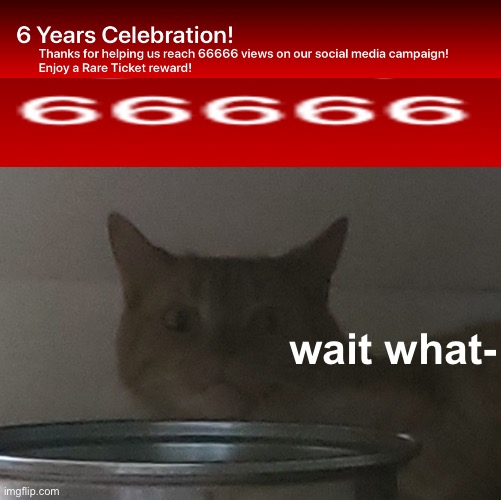 wait what- |  wait what- | image tagged in disturbed cat | made w/ Imgflip meme maker