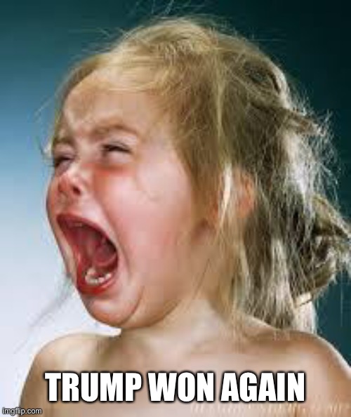 Crying Baby | TRUMP WON AGAIN | image tagged in crying baby | made w/ Imgflip meme maker