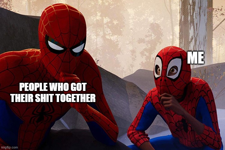 Having your shit together | ME; PEOPLE WHO GOT THEIR SHIT TOGETHER | image tagged in learning from spiderman | made w/ Imgflip meme maker