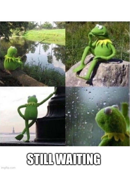 blank kermit waiting | STILL WAITING | image tagged in blank kermit waiting | made w/ Imgflip meme maker