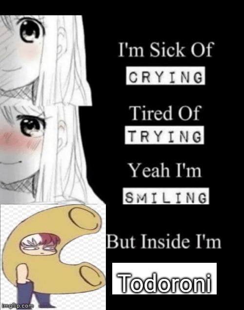 Had to be done | Todoroni | image tagged in i'm sick of crying | made w/ Imgflip meme maker