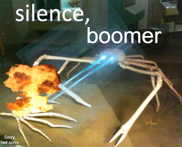 Silence Crab | boomer Sorry, not sorry | image tagged in silence crab | made w/ Imgflip meme maker