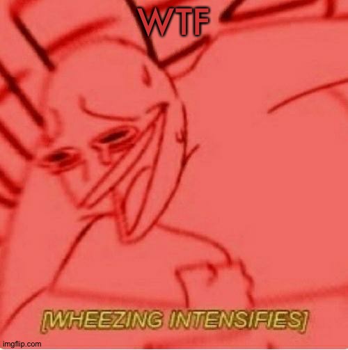 Wheeze | WTF | image tagged in wheeze | made w/ Imgflip meme maker