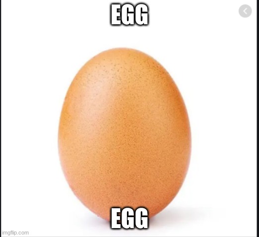 every one use this egg first to try to get 1000 views | EGG; EGG | image tagged in every one use this egg first to try to get 1000 views | made w/ Imgflip meme maker
