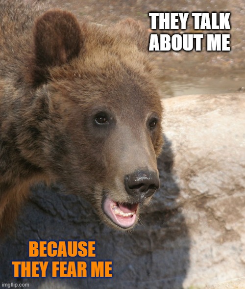 they fear me | THEY TALK ABOUT ME; BECAUSE THEY FEAR ME | image tagged in bears,chicago bears,packers,green bay packers,go bears,fear | made w/ Imgflip meme maker