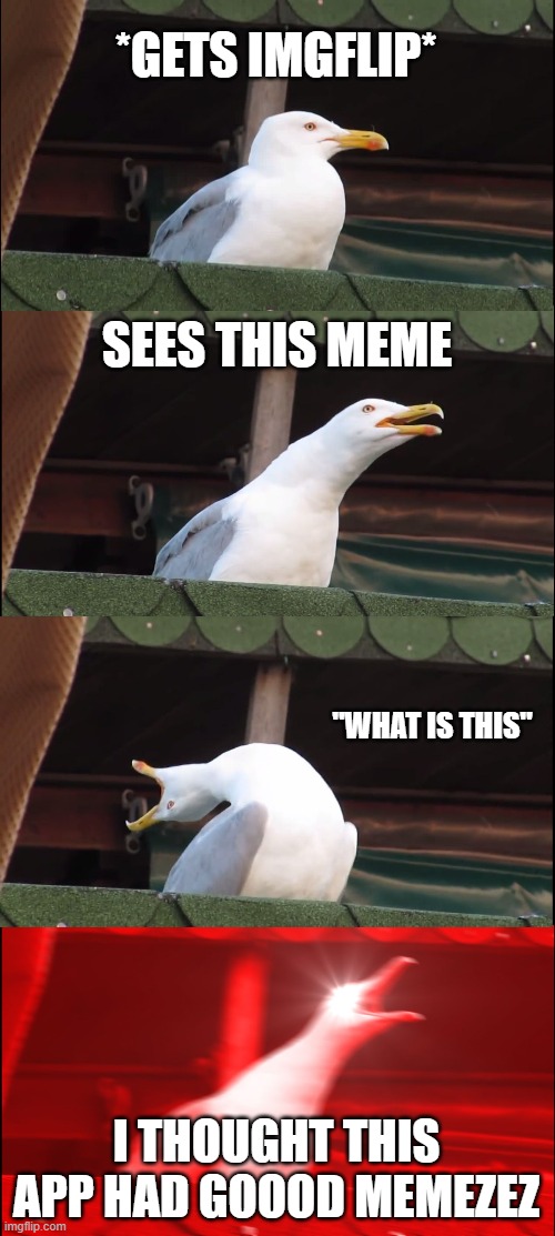 Inhaling Seagull Meme | *GETS IMGFLIP* SEES THIS MEME "WHAT IS THIS" I THOUGHT THIS APP HAD GOOOD MEMEZEZ | image tagged in memes,inhaling seagull | made w/ Imgflip meme maker