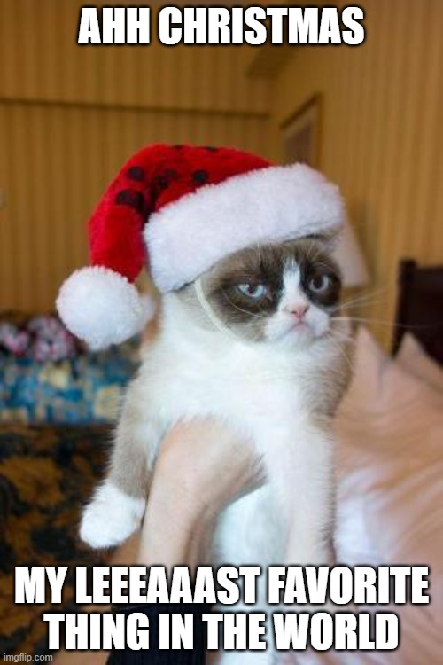 Grumpy Cat Christmas Meme | AHH CHRISTMAS; MY LEEEAAAST FAVORITE THING IN THE WORLD | image tagged in memes,grumpy cat christmas,grumpy cat | made w/ Imgflip meme maker