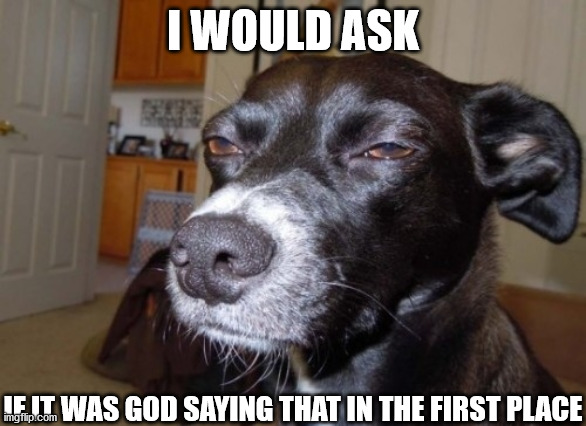 Suspicious dog | I WOULD ASK IF IT WAS GOD SAYING THAT IN THE FIRST PLACE | image tagged in suspicious dog | made w/ Imgflip meme maker