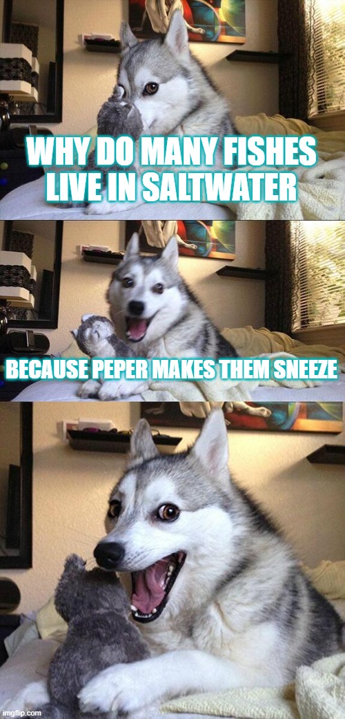 Bad Pun Dog Meme | WHY DO MANY FISHES LIVE IN SALTWATER; BECAUSE PEPER MAKES THEM SNEEZE | image tagged in memes,bad pun dog | made w/ Imgflip meme maker