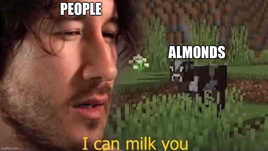 I can milk you (template) | PEOPLE; ALMONDS | image tagged in i can milk you template | made w/ Imgflip meme maker