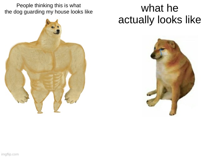 true | People thinking this is what the dog guarding my house looks like; what he actually looks like | image tagged in memes,buff doge vs cheems | made w/ Imgflip meme maker