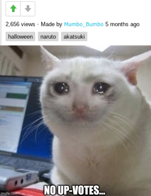 NO UP-VOTES... | image tagged in crying cat | made w/ Imgflip meme maker