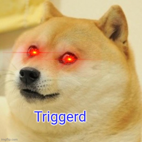 Doge Meme | Triggerd | image tagged in memes,doge | made w/ Imgflip meme maker