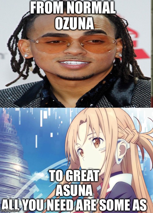 Stay in school people | FROM NORMAL 
OZUNA; TO GREAT
ASUNA
ALL YOU NEED ARE SOME AS | image tagged in sao | made w/ Imgflip meme maker