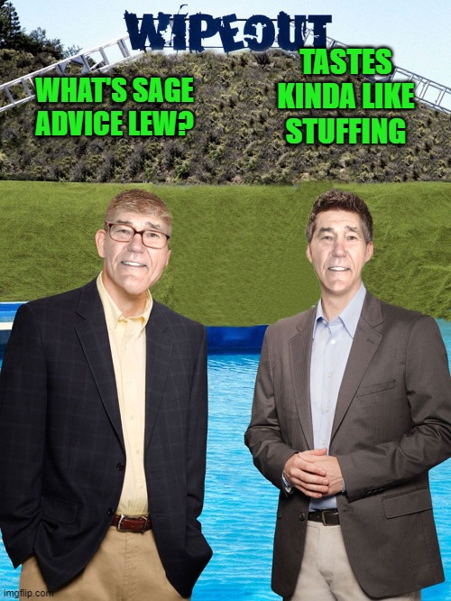 WHAT'S SAGE ADVICE LEW? TASTES KINDA LIKE STUFFING | image tagged in kewlew-as-wipeout-hosts | made w/ Imgflip meme maker
