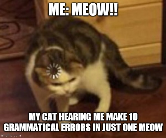 Loading cat | ME: MEOW!! MY CAT HEARING ME MAKE 10 GRAMMATICAL ERRORS IN JUST ONE MEOW | image tagged in loading cat | made w/ Imgflip meme maker