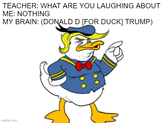 Donald D TRUMP LMAO | TEACHER: WHAT ARE YOU LAUGHING ABOUT
ME: NOTHING
MY BRAIN: (DONALD D [FOR DUCK] TRUMP) | image tagged in donald duck,donald trump,mems,funny memes | made w/ Imgflip meme maker
