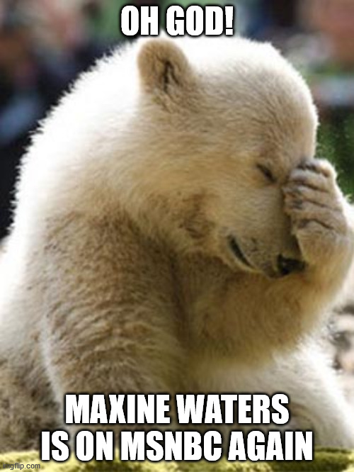 Facepalm Bear | OH GOD! MAXINE WATERS IS ON MSNBC AGAIN | image tagged in memes,facepalm bear | made w/ Imgflip meme maker