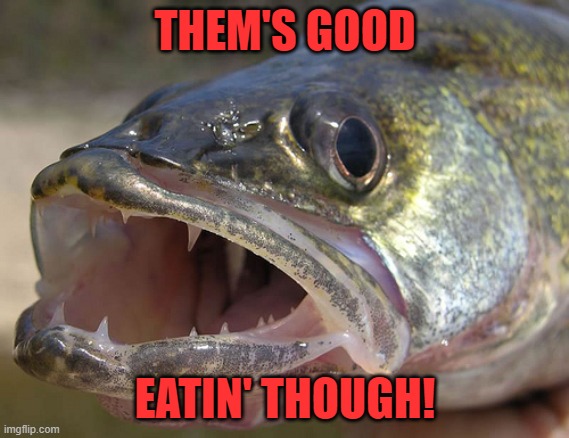 Walleye | THEM'S GOOD EATIN' THOUGH! | image tagged in walleye | made w/ Imgflip meme maker