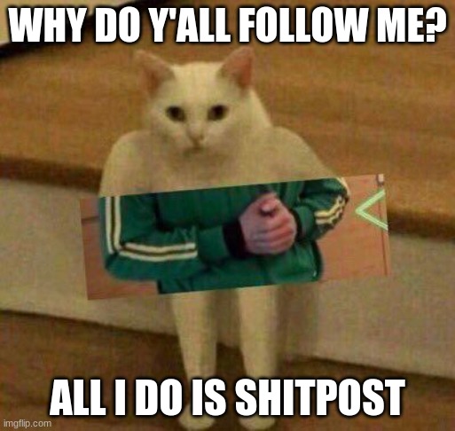 Whyyyyyyy | WHY DO Y'ALL FOLLOW ME? ALL I DO IS SHITPOST | image tagged in cursedcat | made w/ Imgflip meme maker