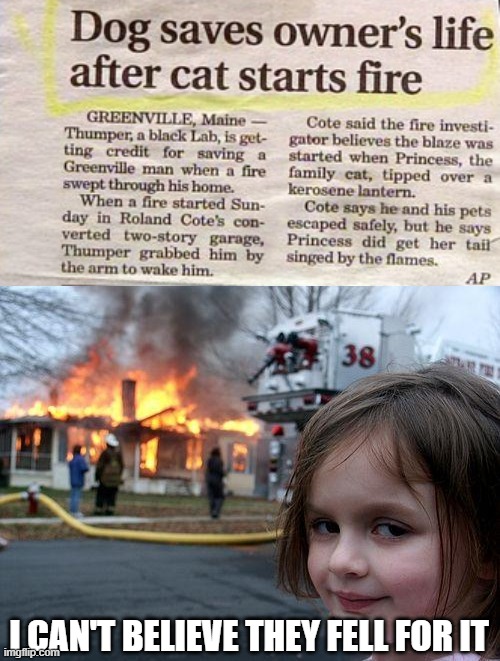 Doggone it Disaster Girl! | I CAN'T BELIEVE THEY FELL FOR IT | image tagged in memes,disaster girl,fire,headlines,pets | made w/ Imgflip meme maker