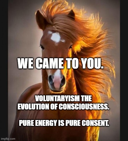Horse | WE CAME TO YOU. VOLUNTARYISM THE EVOLUTION OF CONSCIOUSNESS.          
    PURE ENERGY IS PURE CONSENT. | image tagged in horse | made w/ Imgflip meme maker