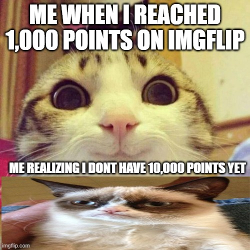 Celebrating 1,000 points | ME WHEN I REACHED 1,000 POINTS ON IMGFLIP; ME REALIZING I DONT HAVE 10,000 POINTS YET | image tagged in memes,smiling cat | made w/ Imgflip meme maker