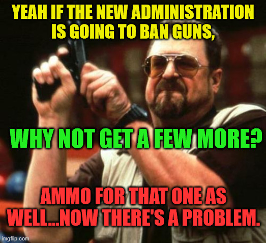 gun | YEAH IF THE NEW ADMINISTRATION IS GOING TO BAN GUNS, WHY NOT GET A FEW MORE? AMMO FOR THAT ONE AS WELL...NOW THERE'S A PROBLEM. | image tagged in gun | made w/ Imgflip meme maker