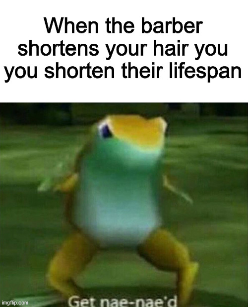 das wat chal get | When the barber shortens your hair you you shorten their lifespan | image tagged in get nae-nae'd,barber,hair,haircut | made w/ Imgflip meme maker