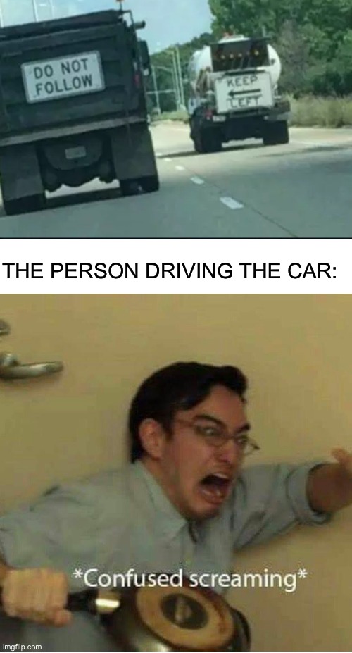 What to do, what to do | THE PERSON DRIVING THE CAR: | image tagged in confused screaming | made w/ Imgflip meme maker