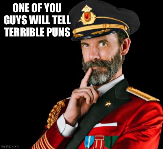 captain obvious | ONE OF YOU GUYS WILL TELL TERRIBLE PUNS | image tagged in captain obvious | made w/ Imgflip meme maker