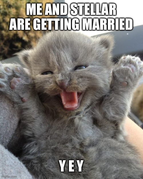 Yey | ME AND STELLAR ARE GETTING MARRIED; Y E Y | image tagged in yay kitty,memes | made w/ Imgflip meme maker