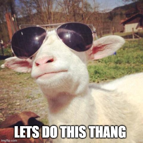 Let's do this | LETS DO THIS THANG | image tagged in let's do this | made w/ Imgflip meme maker