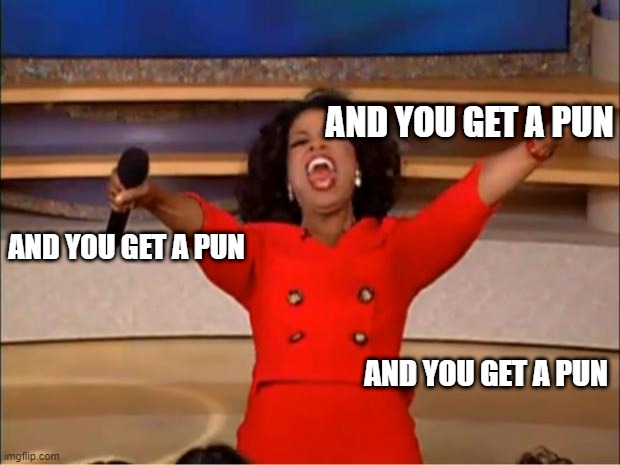 Oprah You Get A Meme | AND YOU GET A PUN AND YOU GET A PUN AND YOU GET A PUN | image tagged in memes,oprah you get a | made w/ Imgflip meme maker