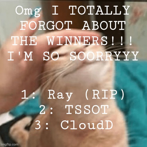 I SO SORRY OMG | Omg I TOTALLY FORGOT ABOUT THE WINNERS!!! I'M SO SOORRYYY; 1: Ray (RIP)
2: TSSOT
3: CloudD | image tagged in pet the cat | made w/ Imgflip meme maker