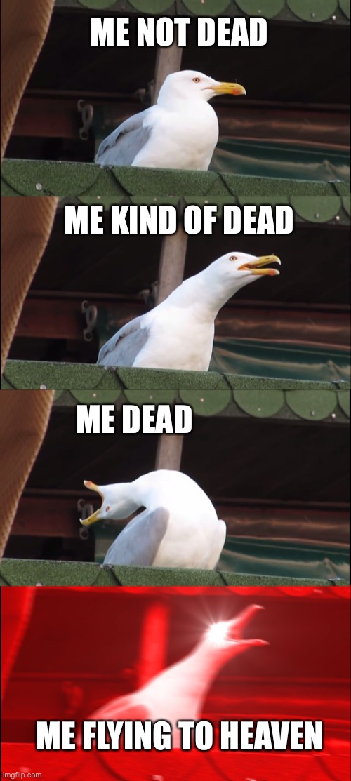 Inhaling Seagull | ME NOT DEAD; ME KIND OF DEAD; ME DEAD; ME FLYING TO HEAVEN | image tagged in memes,inhaling seagull | made w/ Imgflip meme maker