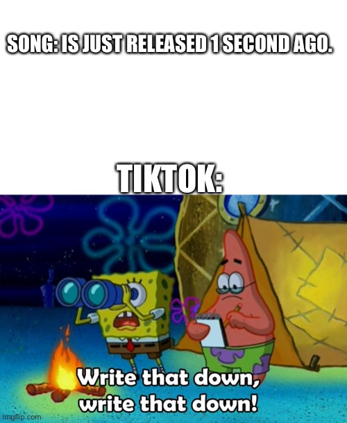 cringe :/ | SONG: IS JUST RELEASED 1 SECOND AGO. TIKTOK: | image tagged in write that down,tik tok | made w/ Imgflip meme maker