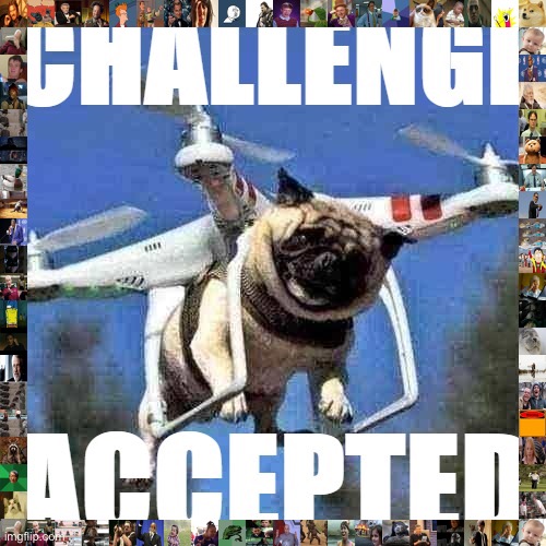 Flying pug challenge accepted | image tagged in flying pug challenge accepted | made w/ Imgflip meme maker