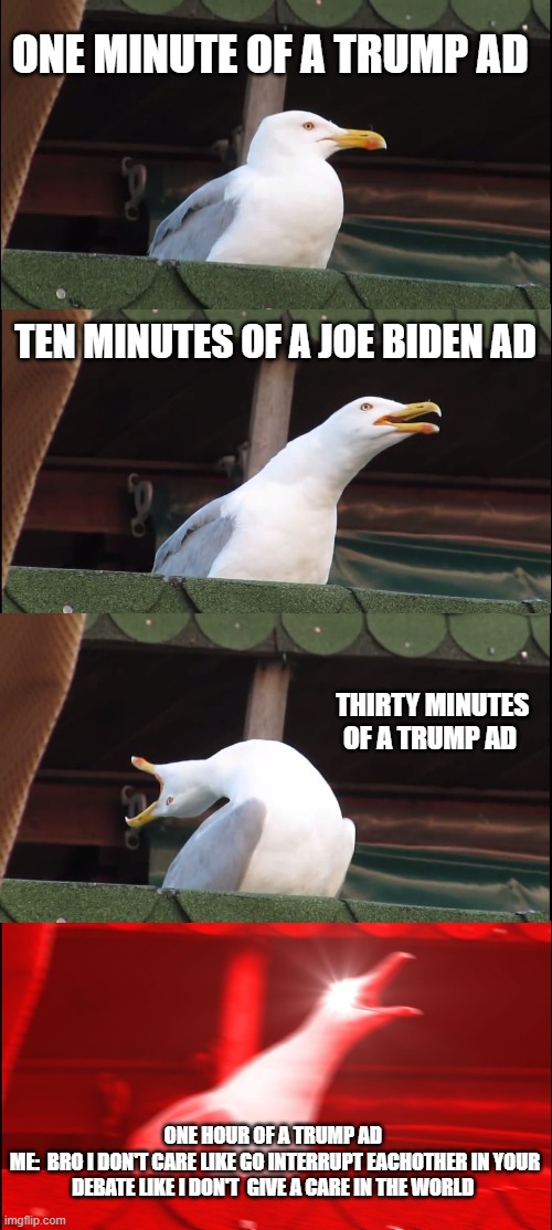 honest like i don't care | ONE MINUTE OF A TRUMP AD; TEN MINUTES OF A JOE BIDEN AD; THIRTY MINUTES OF A TRUMP AD; ONE HOUR OF A TRUMP AD 
ME:  BRO I DON'T CARE LIKE GO INTERRUPT EACHOTHER IN YOUR DEBATE LIKE I DON'T  GIVE A CARE IN THE WORLD | image tagged in memes,inhaling seagull | made w/ Imgflip meme maker