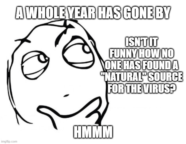 The Source of the Virus | A WHOLE YEAR HAS GONE BY; ISN'T IT FUNNY HOW NO ONE HAS FOUND A "NATURAL" SOURCE FOR THE VIRUS? HMMM | image tagged in hmmm | made w/ Imgflip meme maker