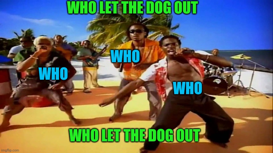 Who let the dogs out  | WHO LET THE DOG OUT WHO LET THE DOG OUT WHO WHO WHO | image tagged in who let the dogs out | made w/ Imgflip meme maker