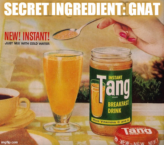 TANG Backwards is GNAT as in: 'You just drank a GNAT' | SECRET INGREDIENT: GNAT | image tagged in public service announcement,tang,gnat,instant drink mix,what astronauts love,secret information | made w/ Imgflip meme maker