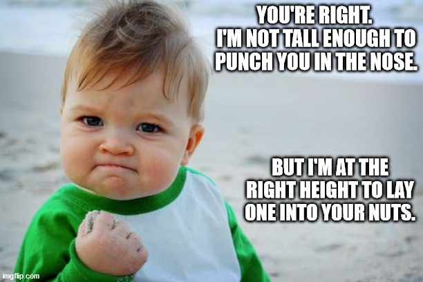 Success Kid Original | YOU'RE RIGHT.  I'M NOT TALL ENOUGH TO PUNCH YOU IN THE NOSE. BUT I'M AT THE RIGHT HEIGHT TO LAY ONE INTO YOUR NUTS. | image tagged in memes,success kid original | made w/ Imgflip meme maker