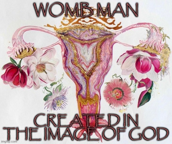 Womb Man | WOMB MAN; CREATED IN THE IMAGE OF GOD | image tagged in woman,mother of god,seeds,iron man | made w/ Imgflip meme maker