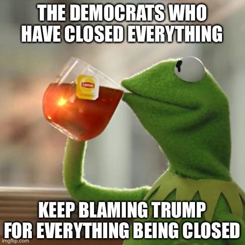 But That's None Of My Business | THE DEMOCRATS WHO HAVE CLOSED EVERYTHING; KEEP BLAMING TRUMP FOR EVERYTHING BEING CLOSED | image tagged in democrats,lockdown,covidiots | made w/ Imgflip meme maker